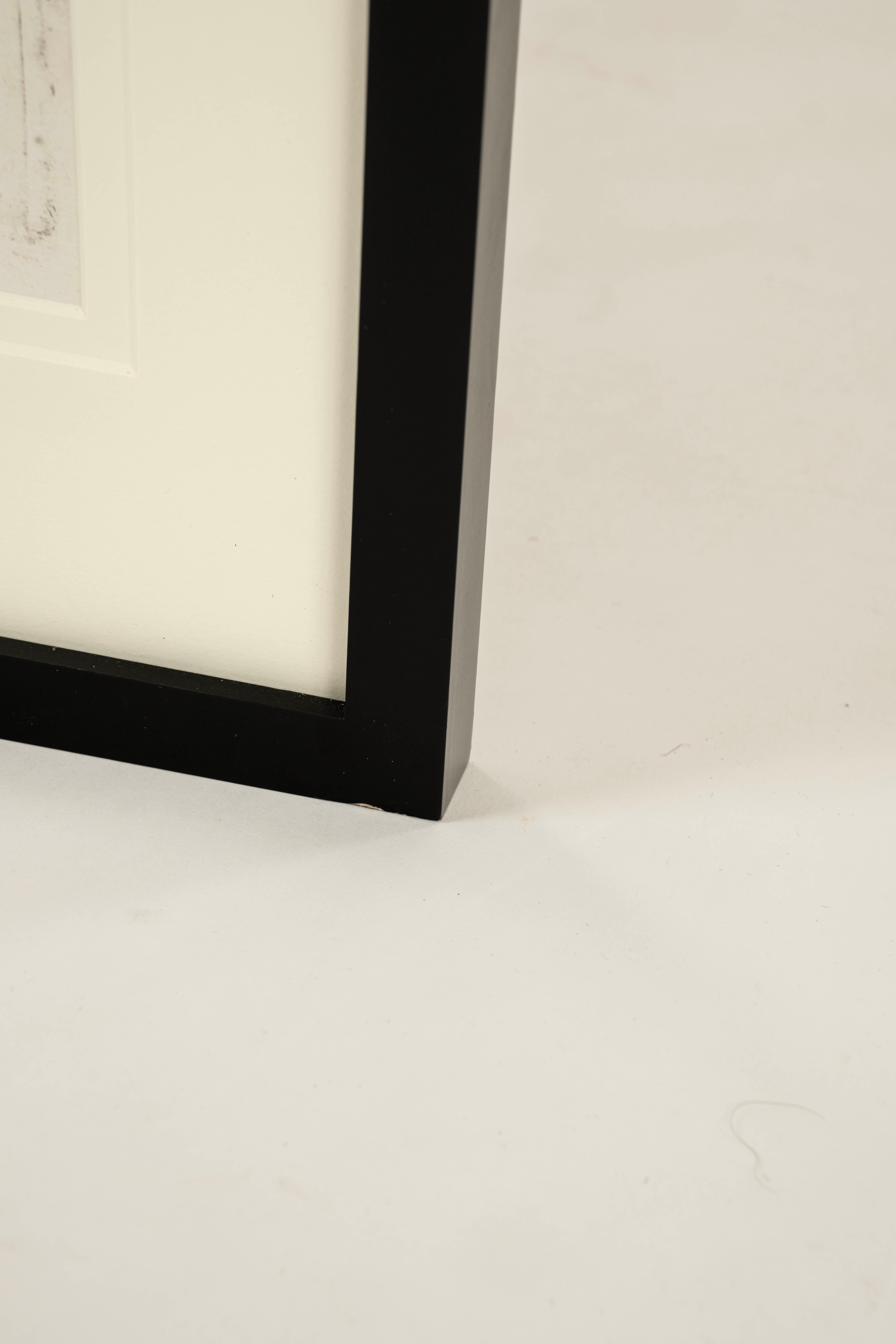 Paar John Johnston Historiae Naturalis Vogelgravuren des 17. Jahrhunderts #2 (18. Jahrhundert und früher) im Angebot