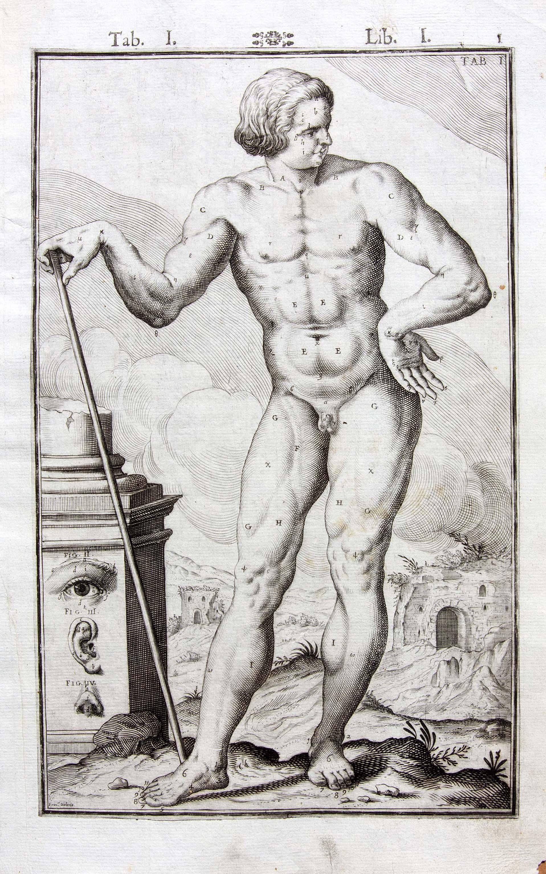 Zwei anatomische Kupferstiche von Francesco Valesio. Aus De humani corporis fabrica libri decem
Evangelista Deuchino, Venedig: 1627. Büttenpapier.
   