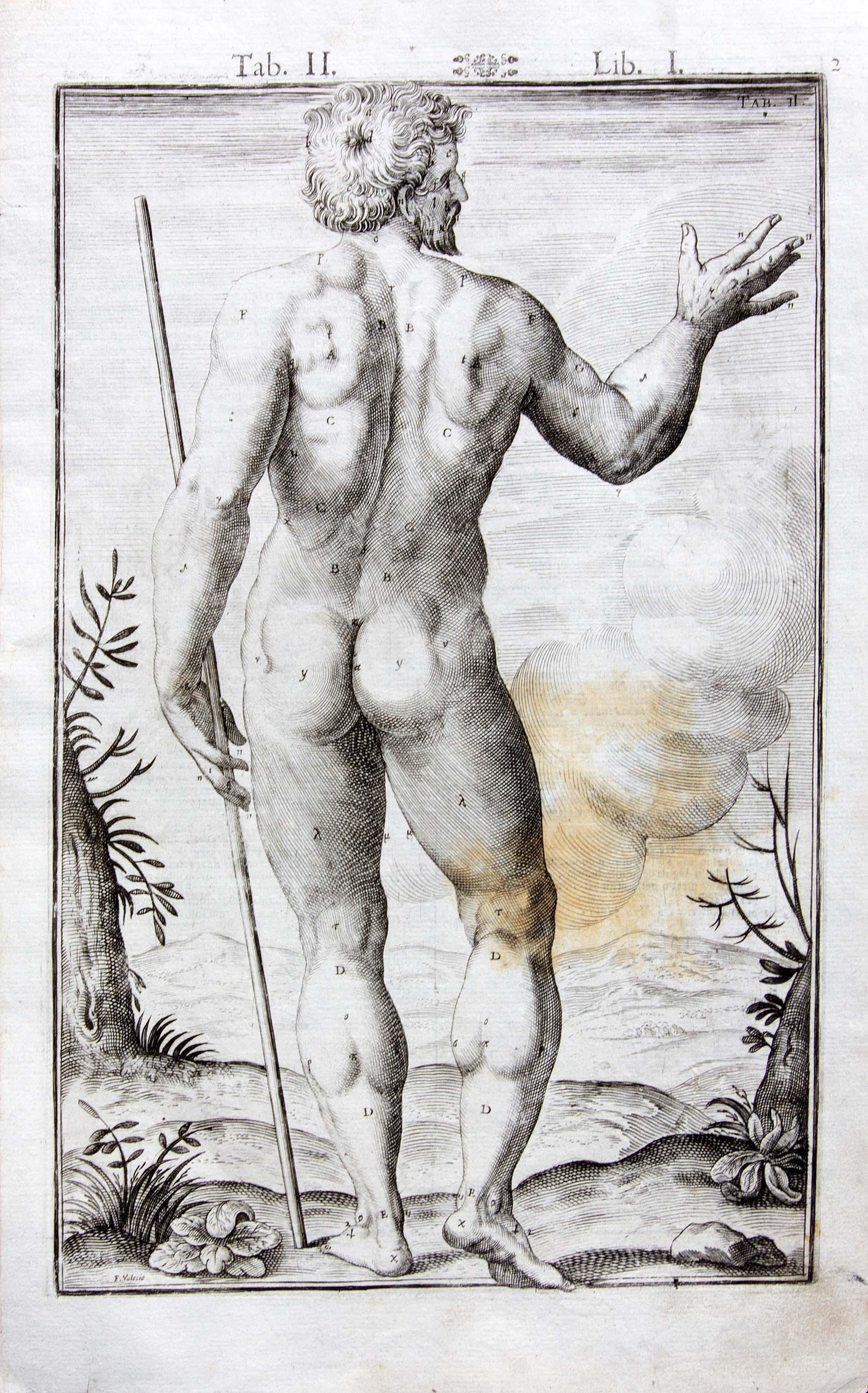Européen Paire de gravures d'anatomie médicale du 17e siècle par Francesco Valesio, 1627 en vente