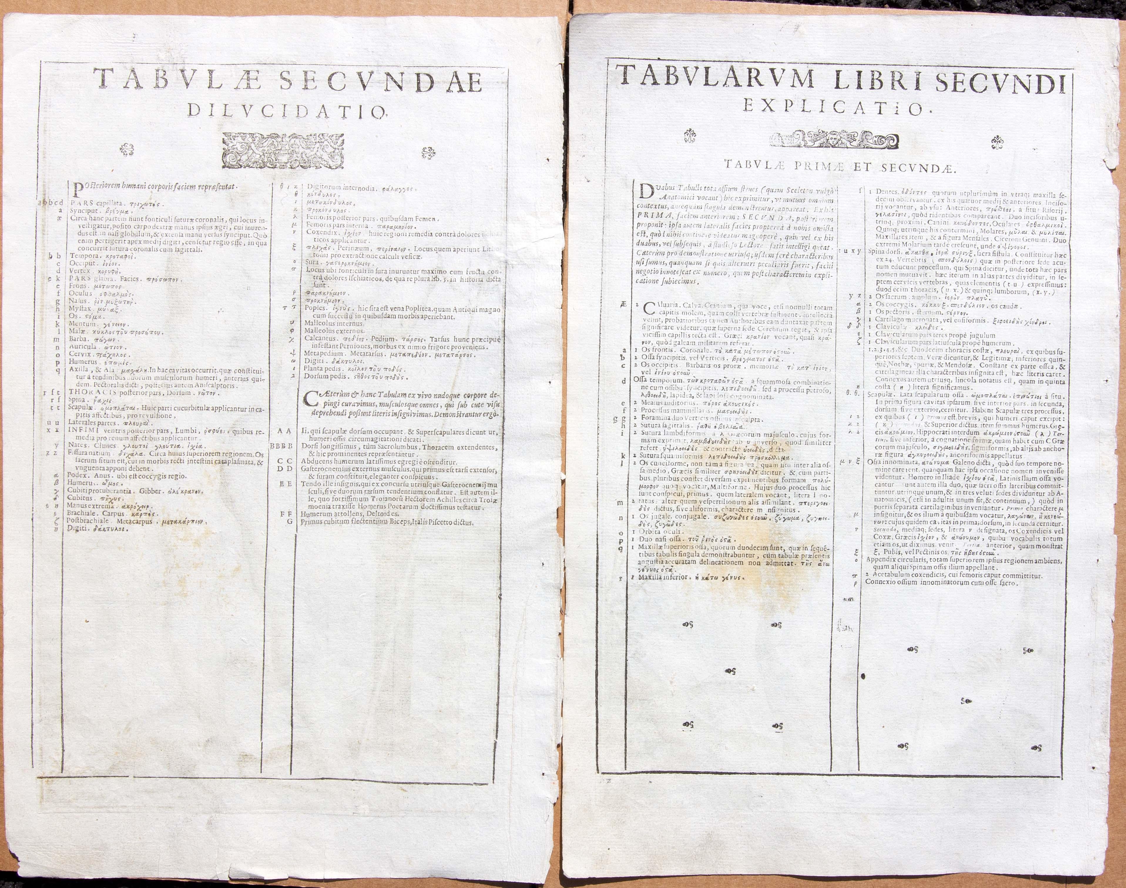 Ein Paar Gravuren der medizinischen Anatomie des 17. Jahrhunderts von Francesco Valesio, 1627 im Zustand „Gut“ im Angebot in Rochester, NY