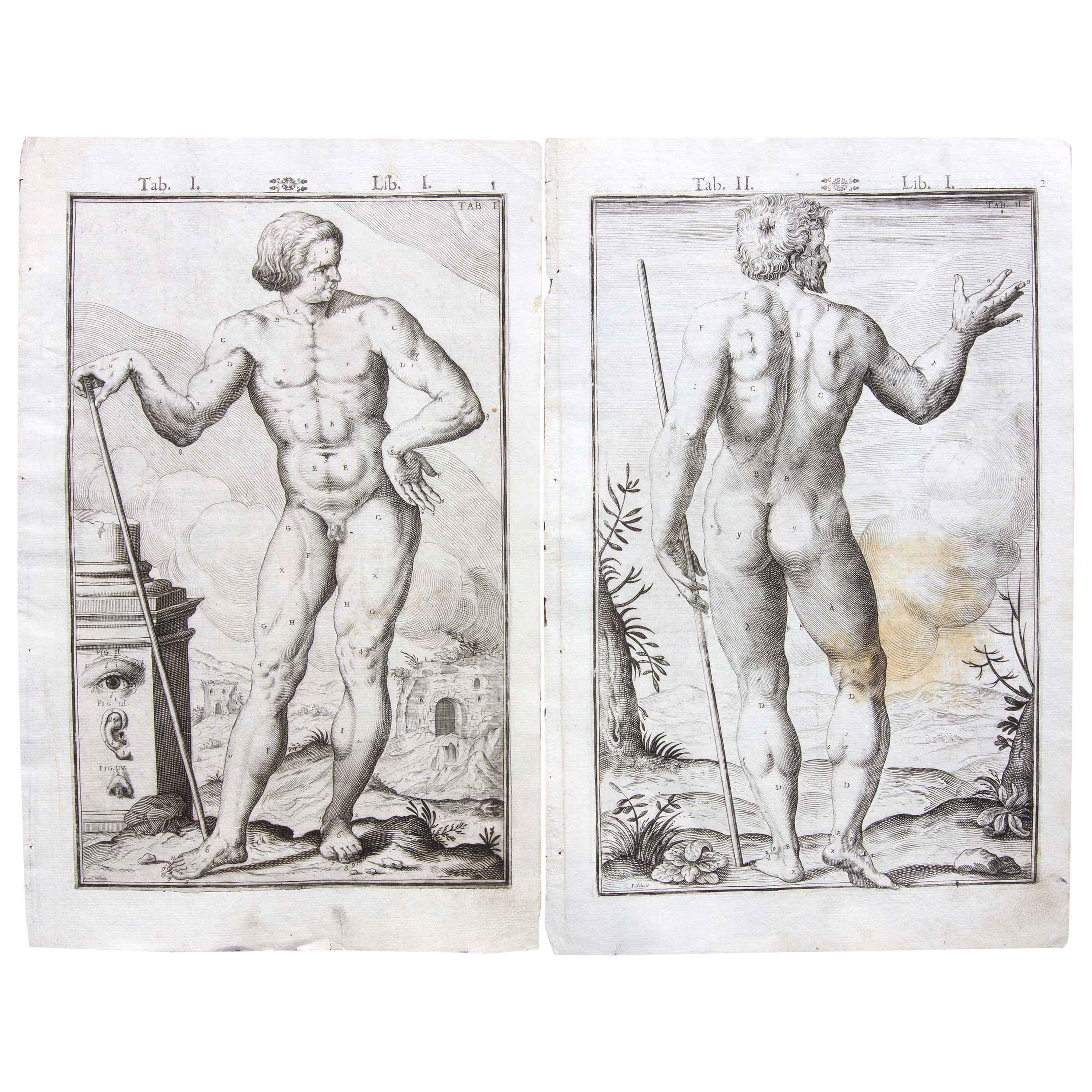 Pair 17th Century Medical Anatomy Engravings by Francesco Valesio, 1627