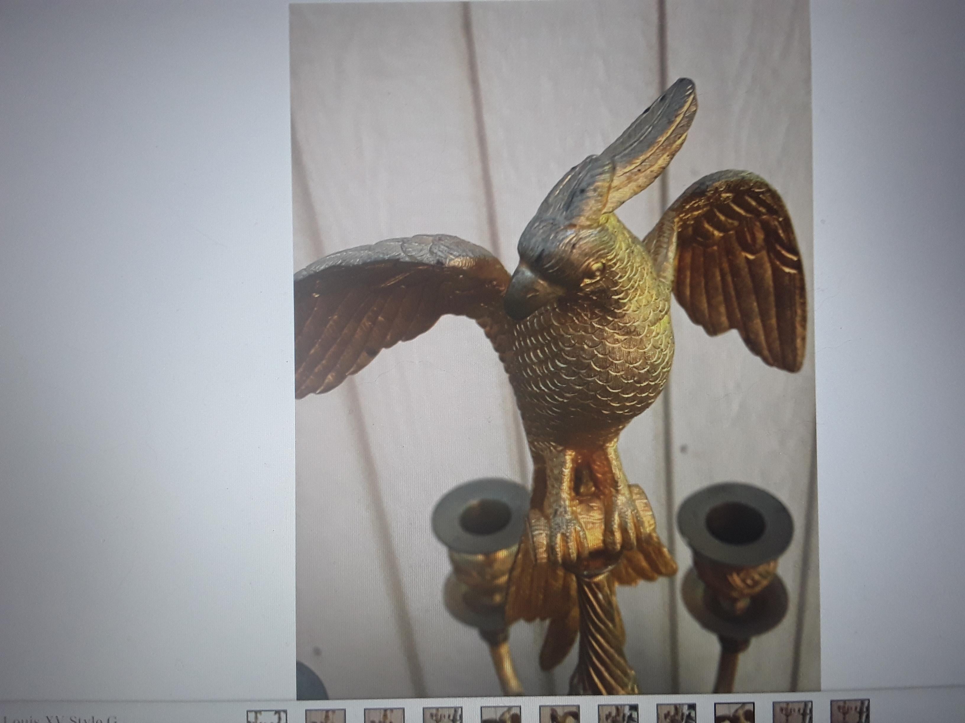 Paar französische vergoldete Bronze-Kandelaber mit Papagei- Opposing Face aus dem 18./19. Jahrhundert XL. Cressent? (Vergoldet) im Angebot