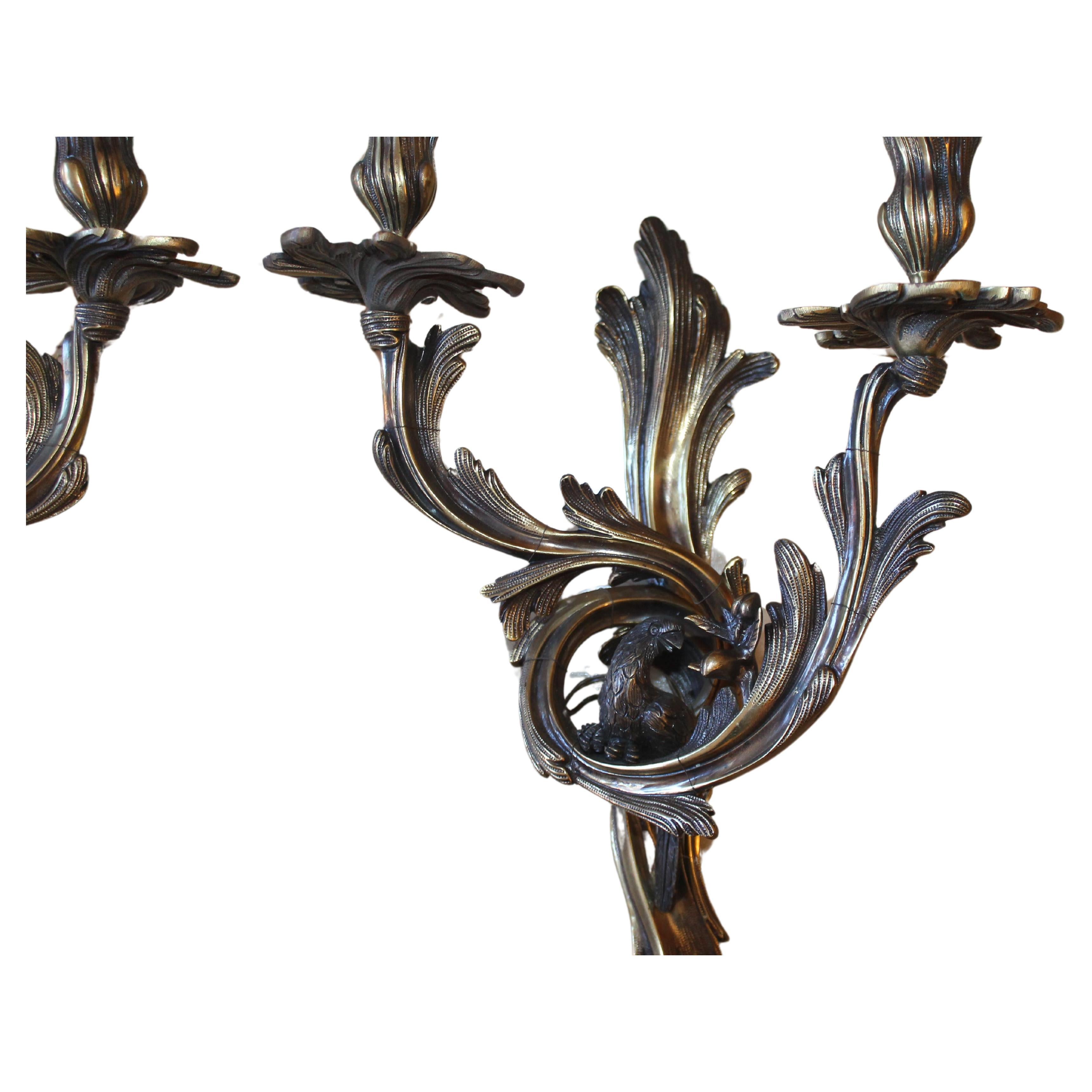This Pair of Sconces are very special. 1960's French Louis XV style Bronze Parrot Sconces. The parrots are nestled in the center crook of the Rococo swirl. French estate. With candle form light diffusers.