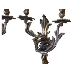 Pair 1960's French Louis XV style Bronze Parrot Sconces style Maison Bagues