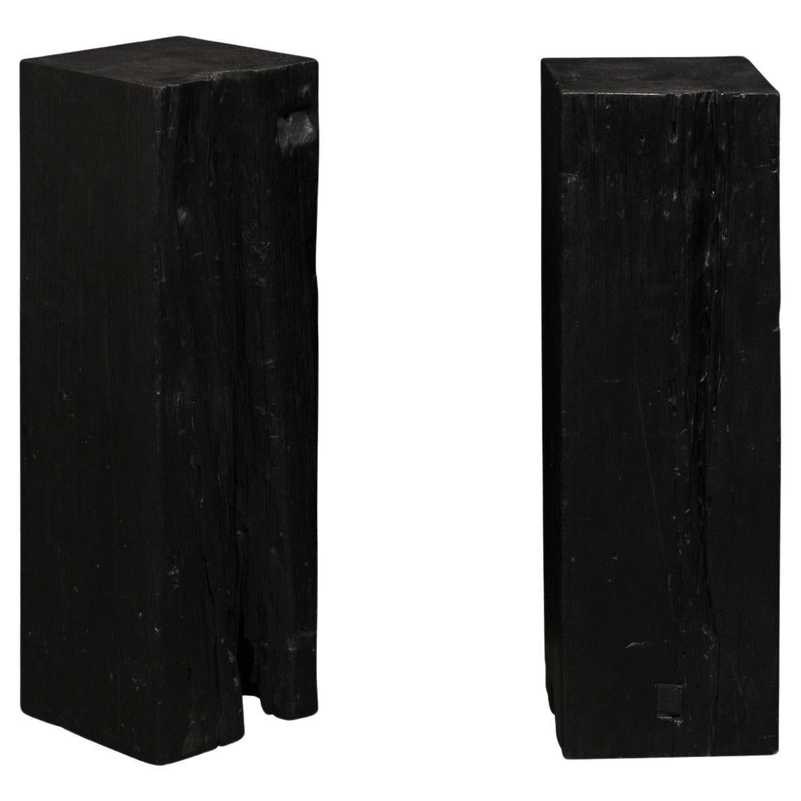Pair 19th C. Carbonized Ironwood Pedestals