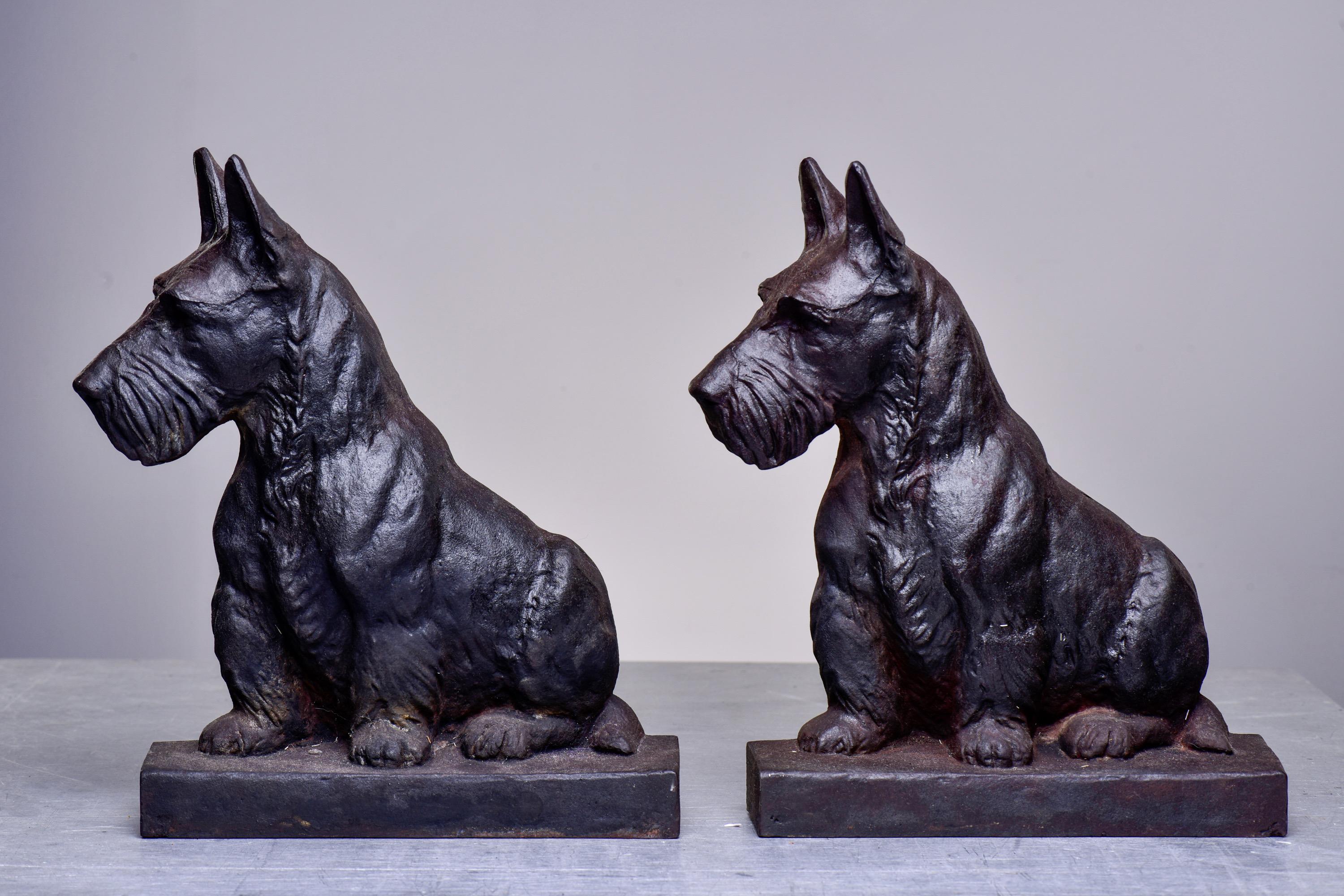 Circa 1890s pair of heavy cast iron seated Scotty dog andirons. Each dog is 14” tall and seated in profile position. Unknown maker - found in US. Original firedogs included. Sold and priced as a pair.