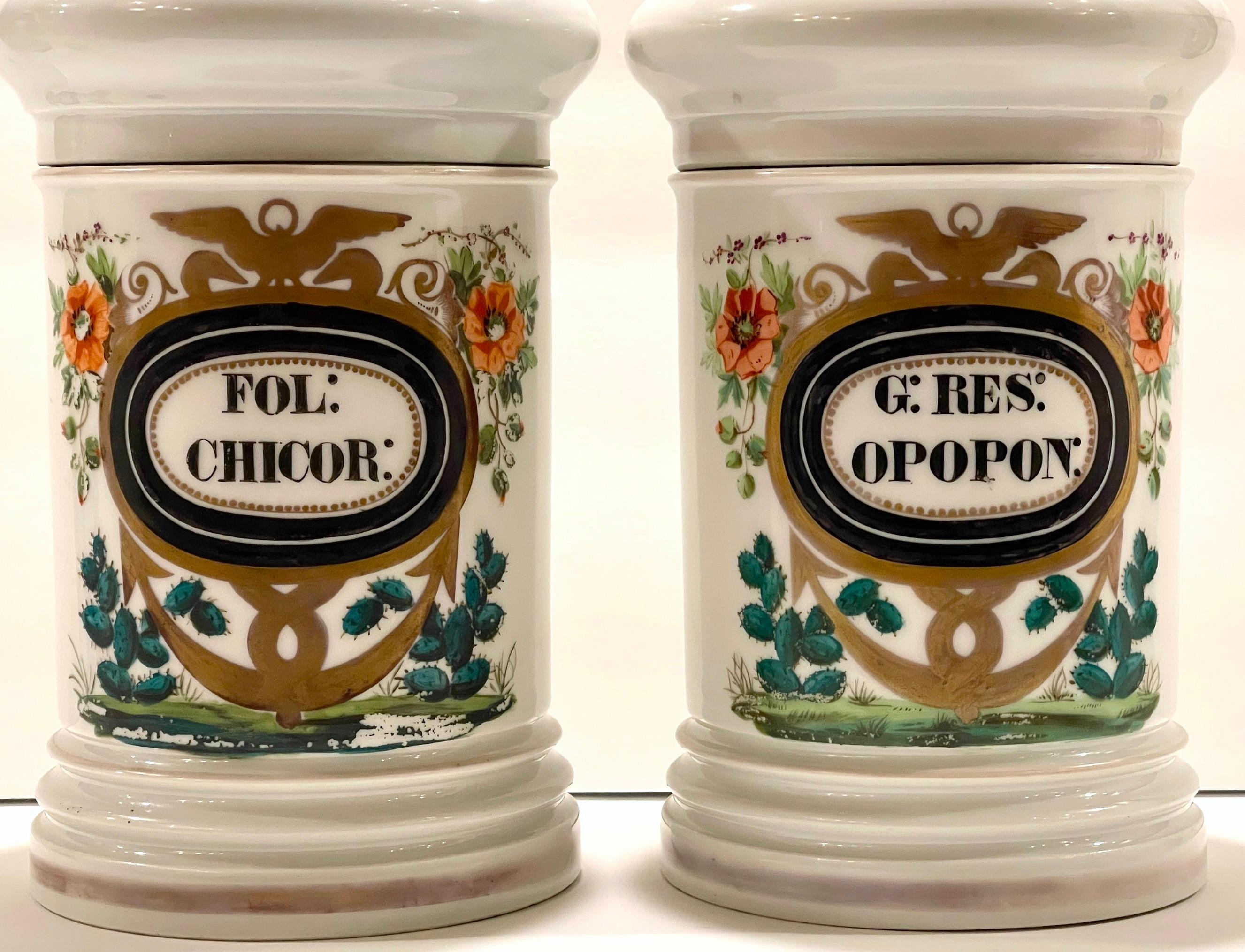 Neoclassical Pair 19th C. French Porcelain Cactus Motif Apothecary Jars by E.Renault Paris 