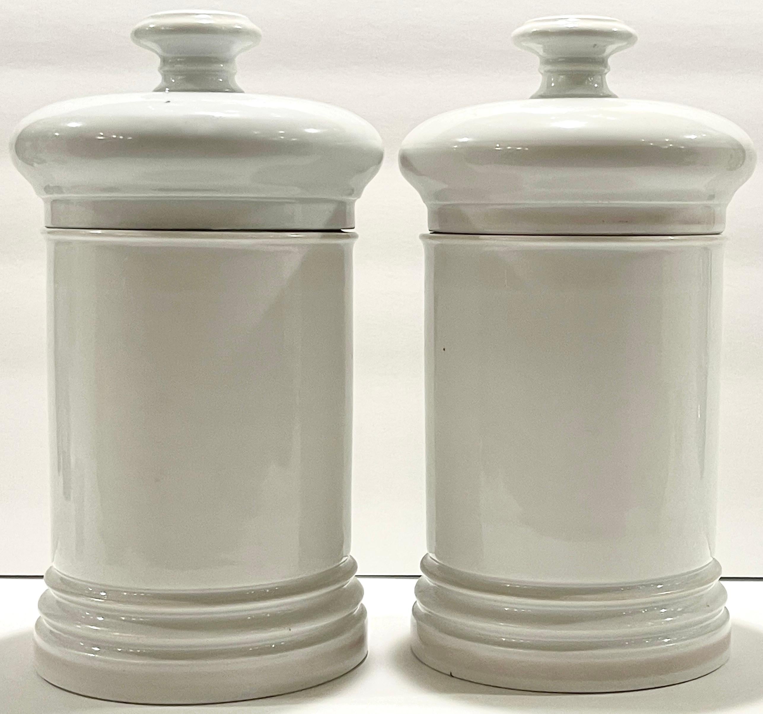 Pair 19th C. French Porcelain Cactus Motif Apothecary Jars by E.Renault Paris  In Good Condition In West Palm Beach, FL
