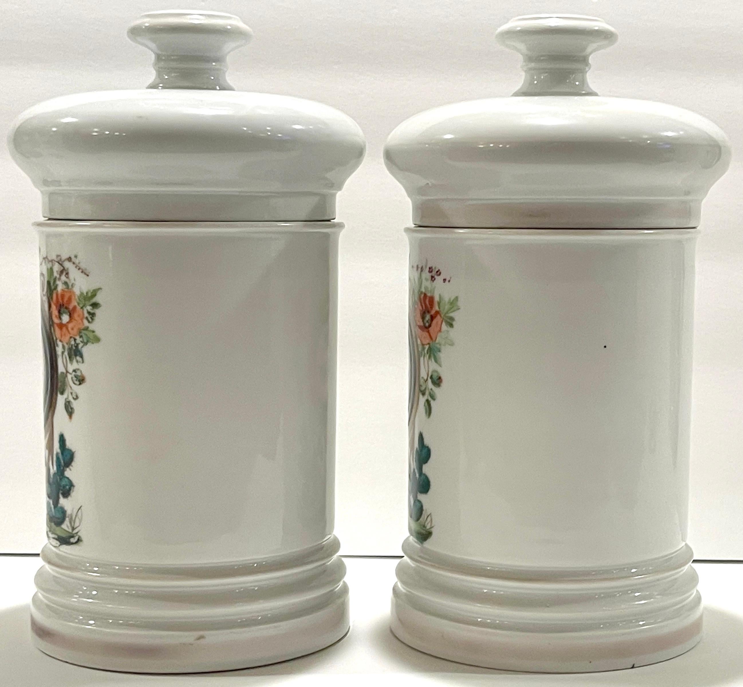 19th Century Pair 19th C. French Porcelain Cactus Motif Apothecary Jars by E.Renault Paris 