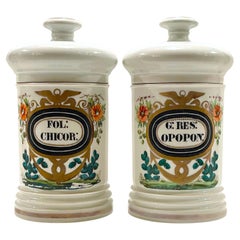 Pair 19th C. French Porcelain Cactus Motif Apothecary Jars by E.Renault Paris 