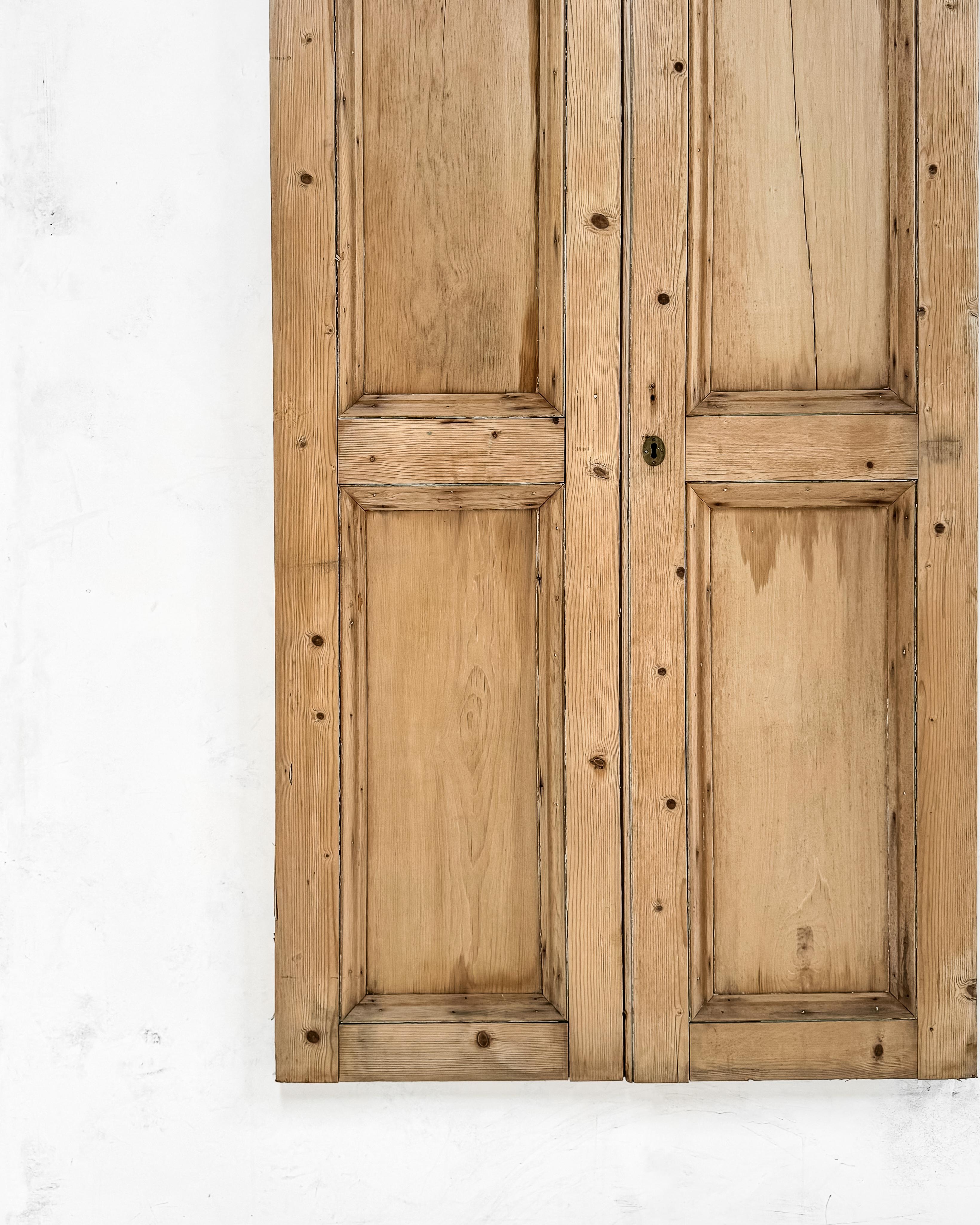Pair 19th Century 2 Panel English Pine Cupboard Doors at 1stDibs