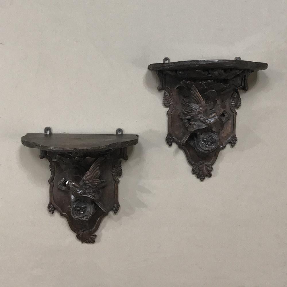 Pair of 19th century Black Forest wall sconces are remarkable examples of the genre, with mirror images of birds on a nest during the springtime, surrounded by lush foliage typical of the naturalistic art forms from the region, all rendered from