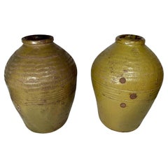 Paire de jarres chinoises émaillées du 19ème siècle.