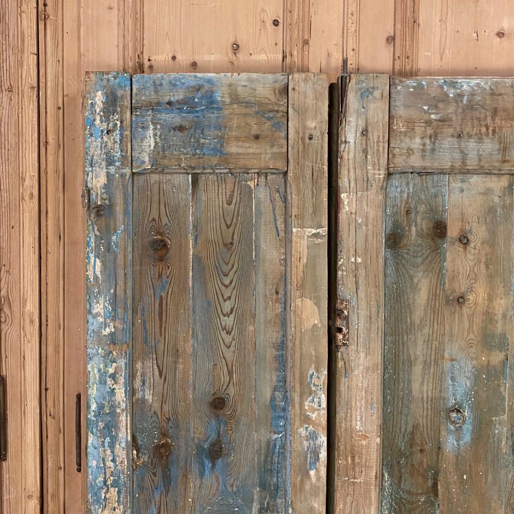 Pair of 19th Century Country French Painted Doors For Sale 5