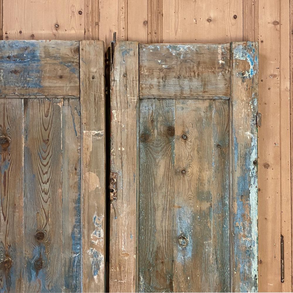 Pair of 19th Century Country French Painted Doors For Sale 6