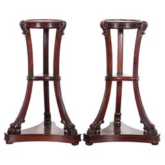 Pair 19th Century English Carved Mahogany Stands or Pedestals