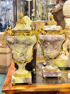 Paire d'urnes en marbre montées en bronze doré de style Louis XVI français du 19e siècle