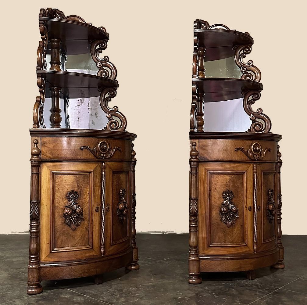 Pair 19th Century French Napoleon III Period Corner Cabinets ~ Vaisseliers For Sale 15