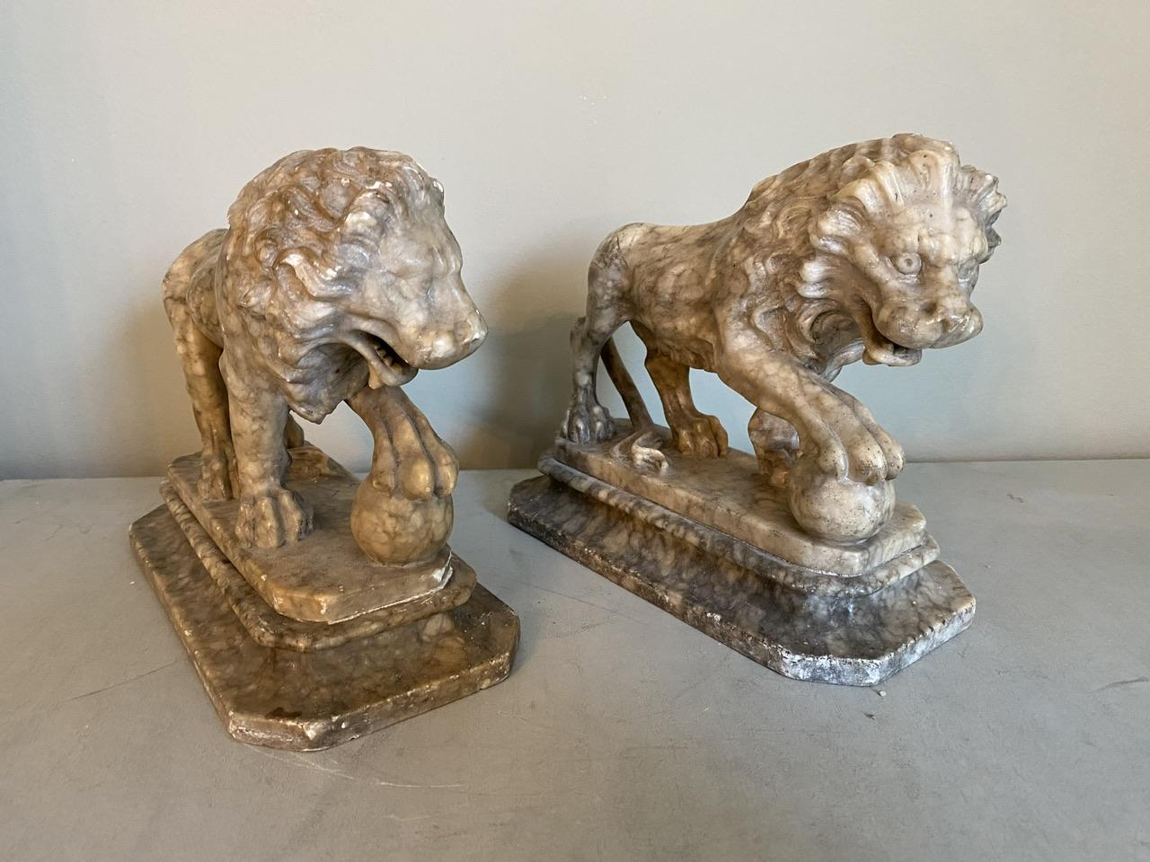 Ravissante et rare paire de Lions en albâtre du Grand Tour du 19e siècle. Bien modelé, l'un est pratiquement parfait, l'autre a quelques petits défauts (voir photos). Hautement décoratif, il s'intègre parfaitement dans n'importe quelle