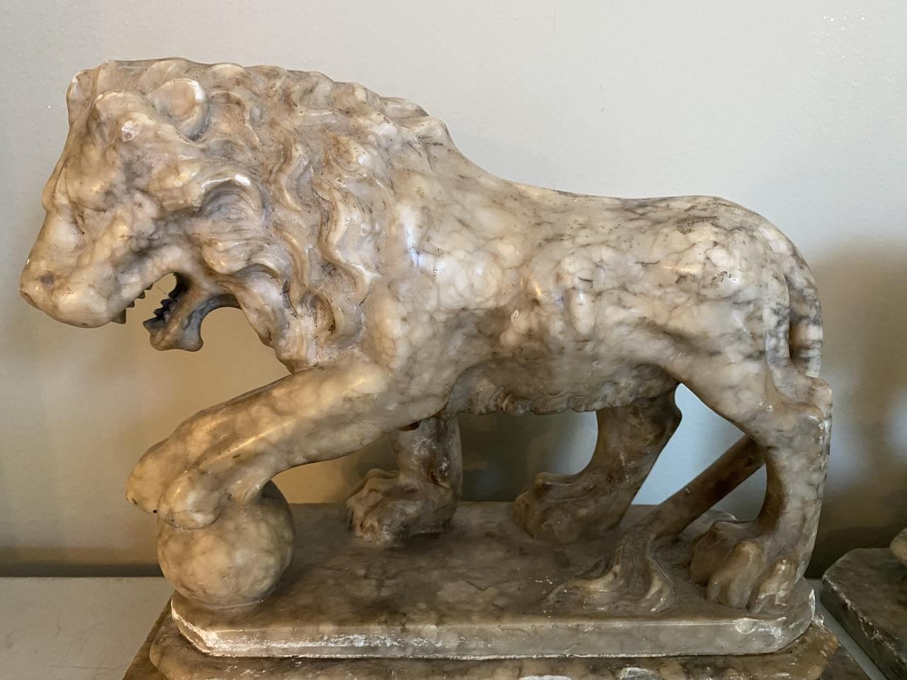 Pair 19th Century Grand Tour Alabaster Lions In Fair Condition For Sale In Seaford, GB