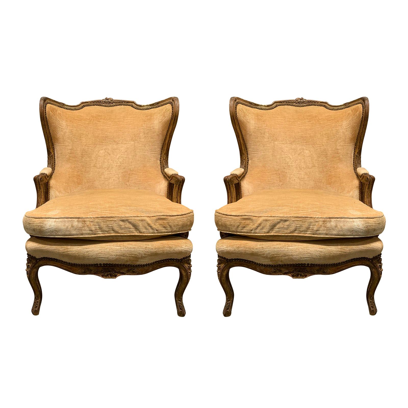 Pair of 19th Century Large French Upholstered Bergere Oreilles Polychrome Finish For Sale