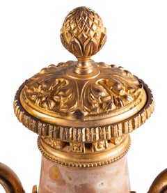 Pair of 19th Century Louis XVI Style Marble Vases