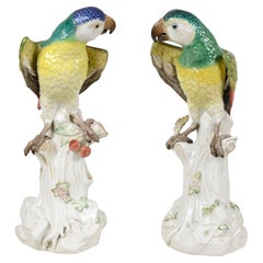Antique Pair 19th Century Meissen Parrots