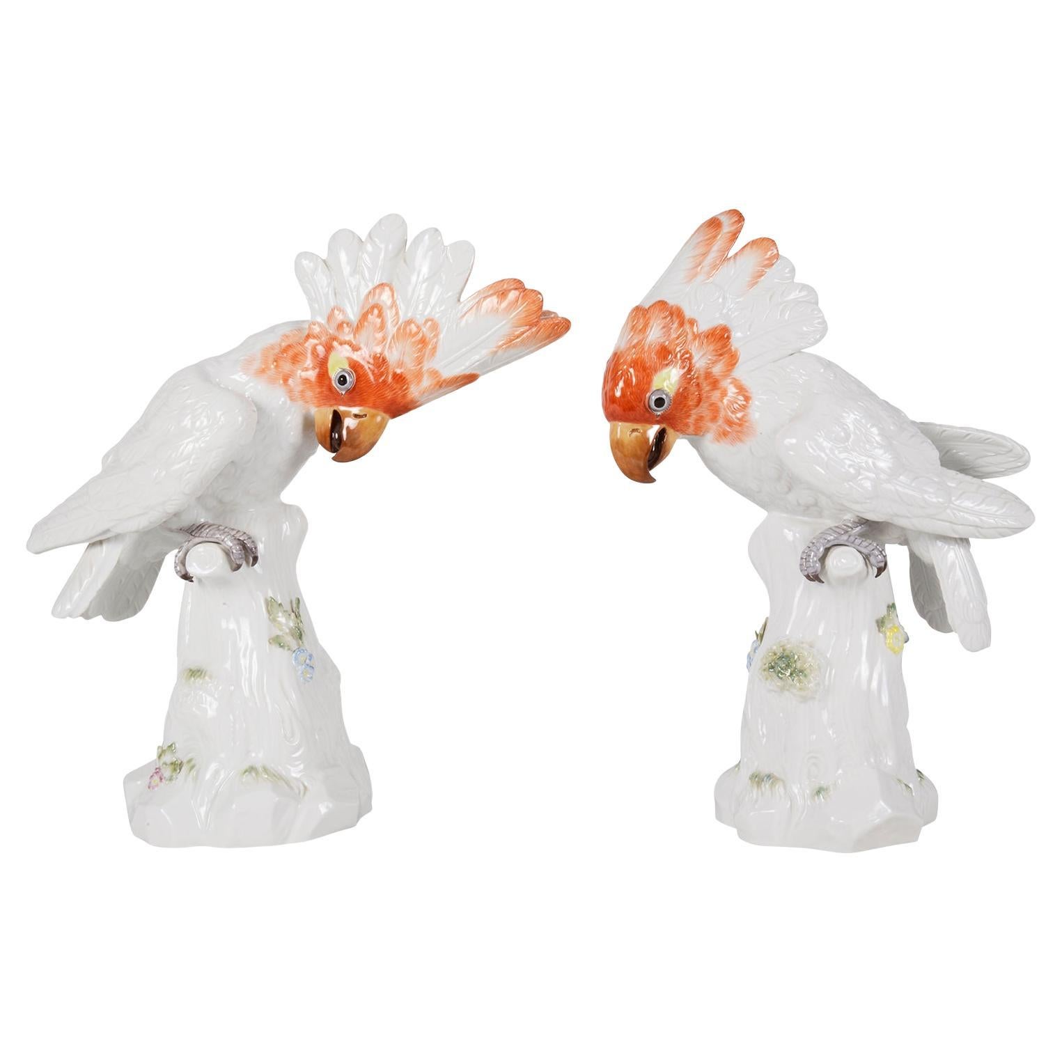 Paar Cockatoos aus Meissener Porzellan des 19. Jahrhunderts