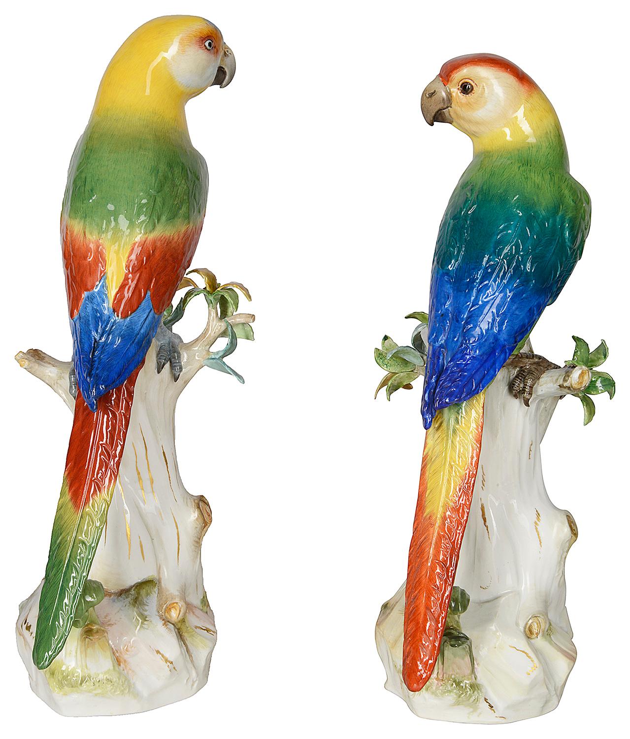 Hand-Painted Pair of 19th Century Meissen Porcelain Parrots