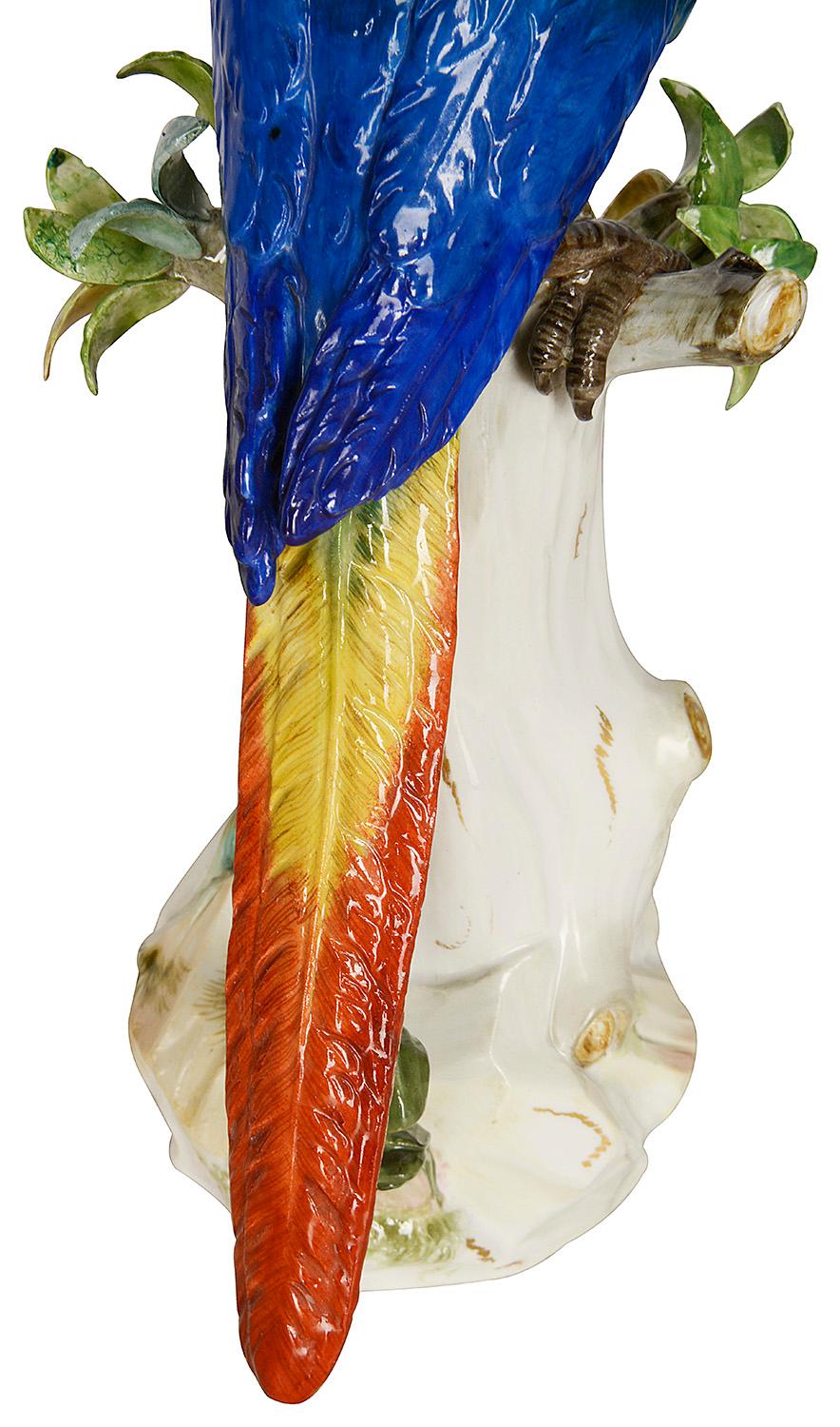 Pair of 19th Century Meissen Porcelain Parrots 1