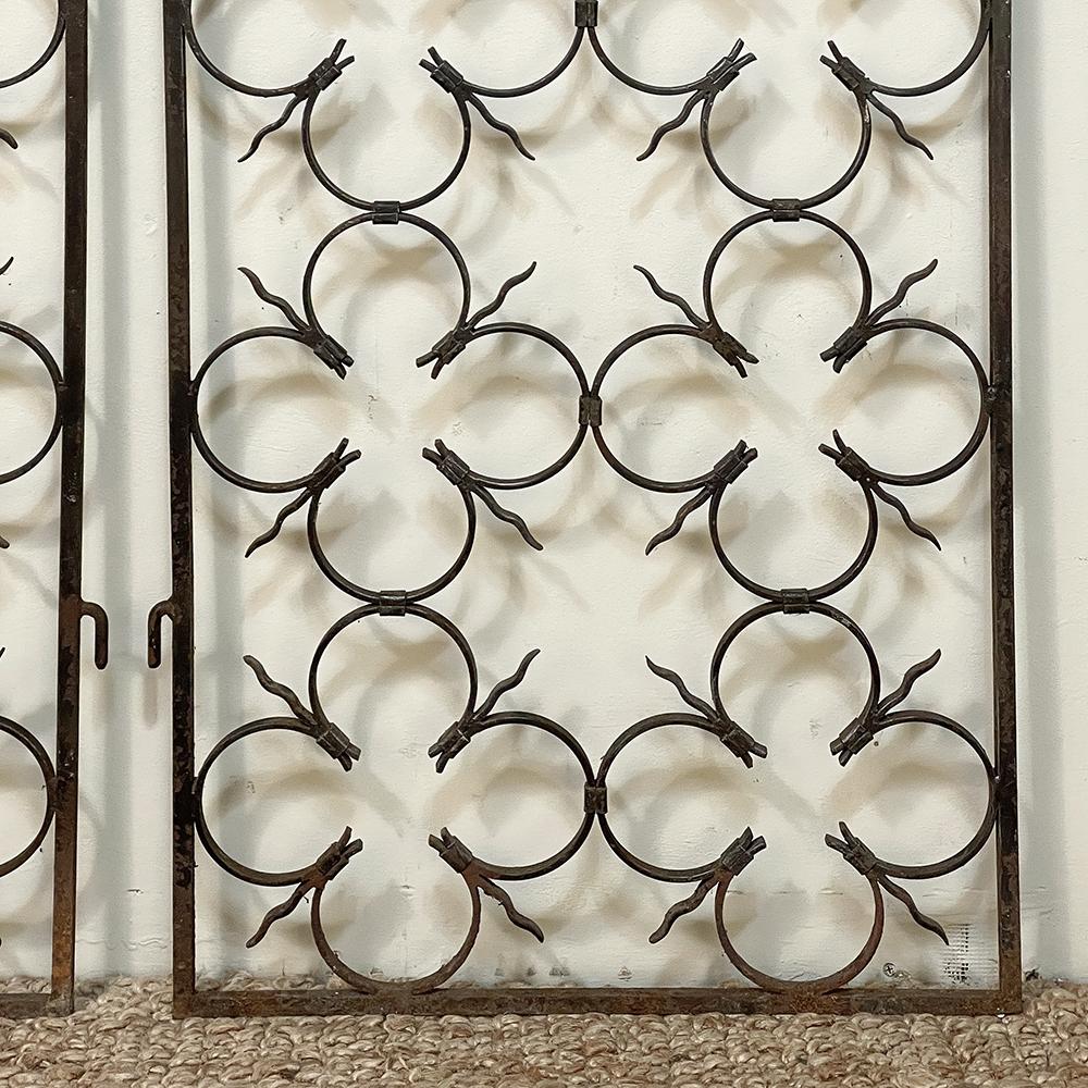 Pair 19th Century Wrought Iron Garden Gates For Sale at 1stDibs