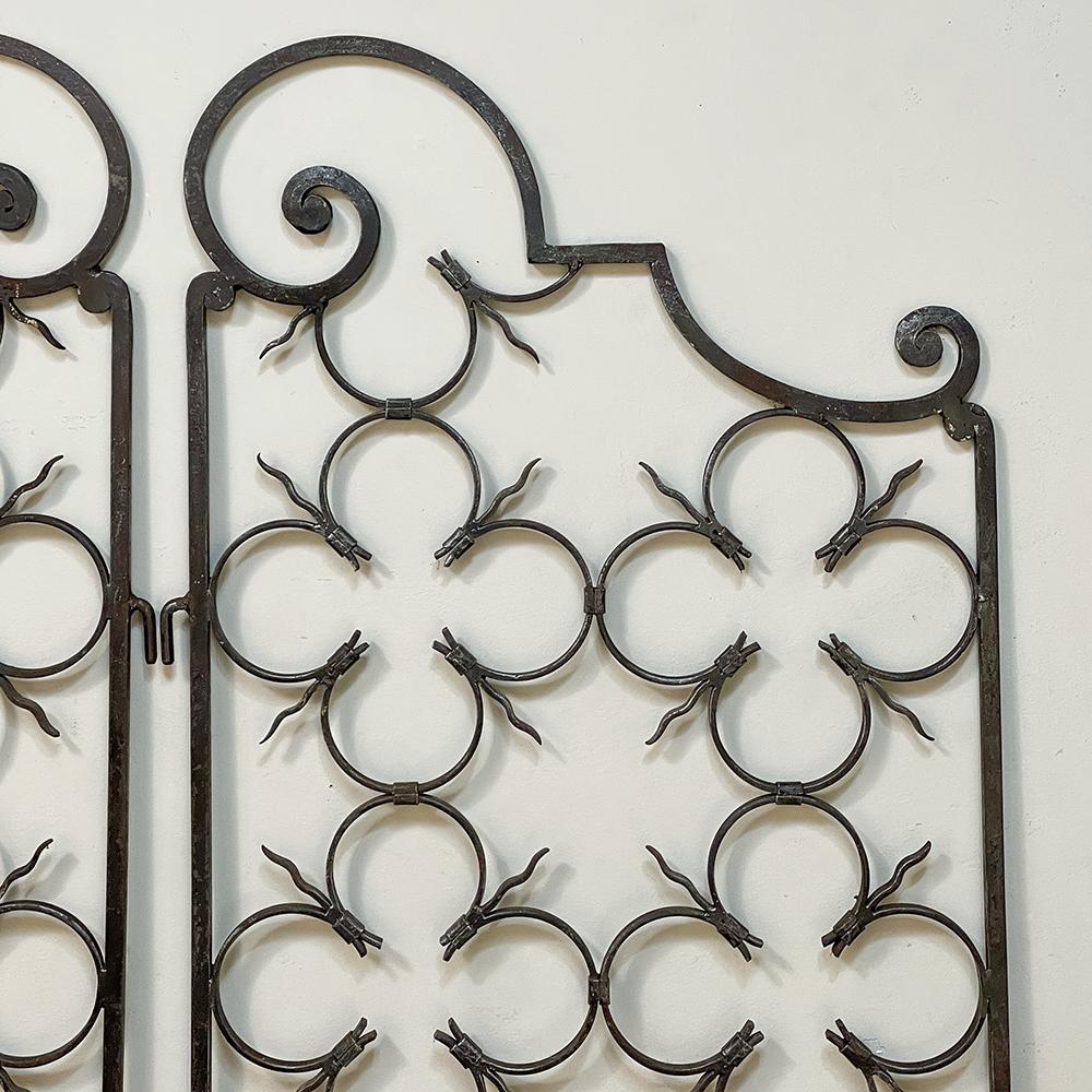 Pair 19th Century Wrought Iron Garden Gates For Sale at 1stDibs