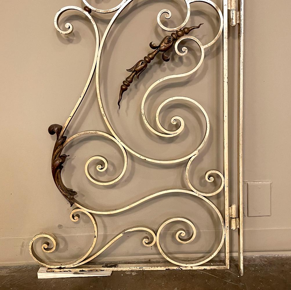 Pair 19th Century Wrought Iron Gates For Sale 1