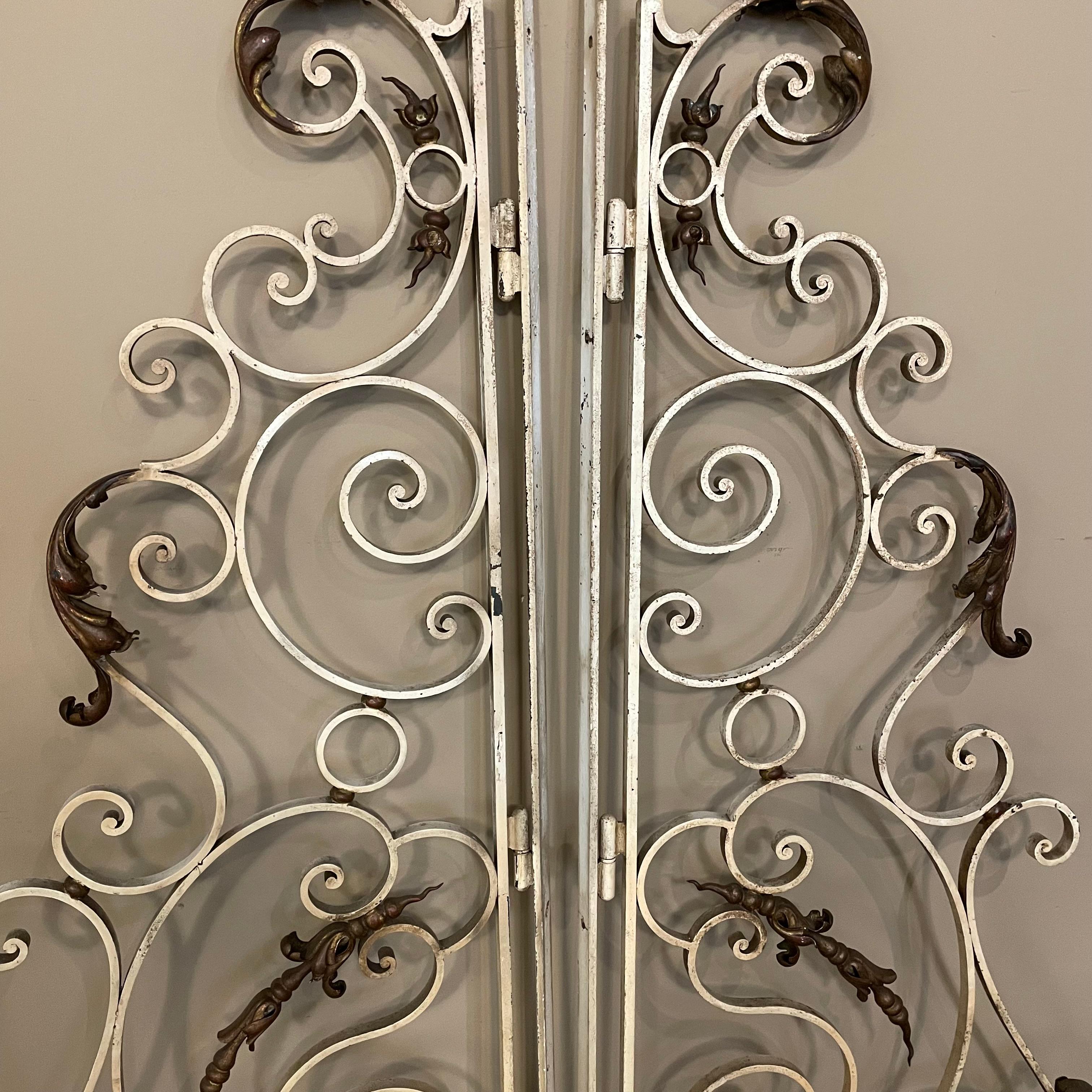 Pair 19th Century Wrought Iron Gates For Sale 2