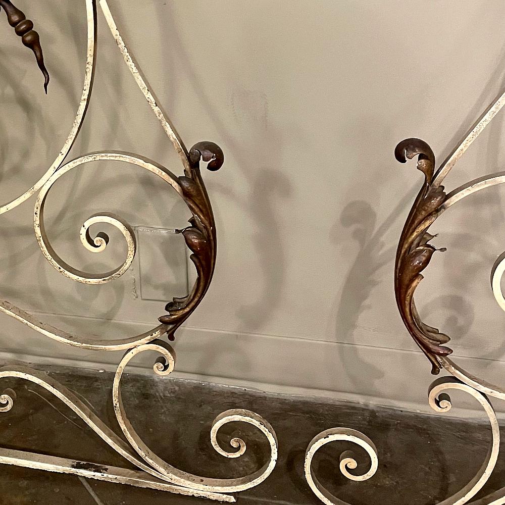 Pair 19th Century Wrought Iron Gates For Sale 6