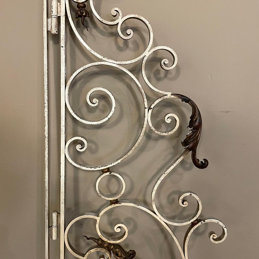 French Pair 19th Century Wrought Iron Gates For Sale