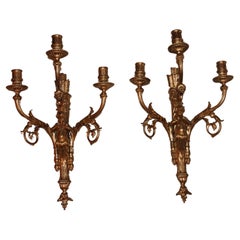 Pair 19thc French Dore Bronze Louis XIV style Cherub Candle Wall Sconces