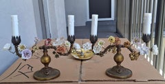 Pair 19thc French Louis XVI Bronze/ Porcelain Flower Boudoir Accent/ Table Lamps