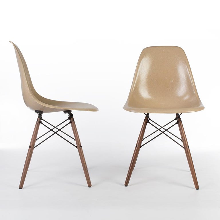This is a pair of used, original Greige Herman Miller Eames DSW dining chairs, attached to a brand-new walnut wood dowel base. Due to its vintage qualities, there are some scratches on the surface, with a few white marks which are barely visible.