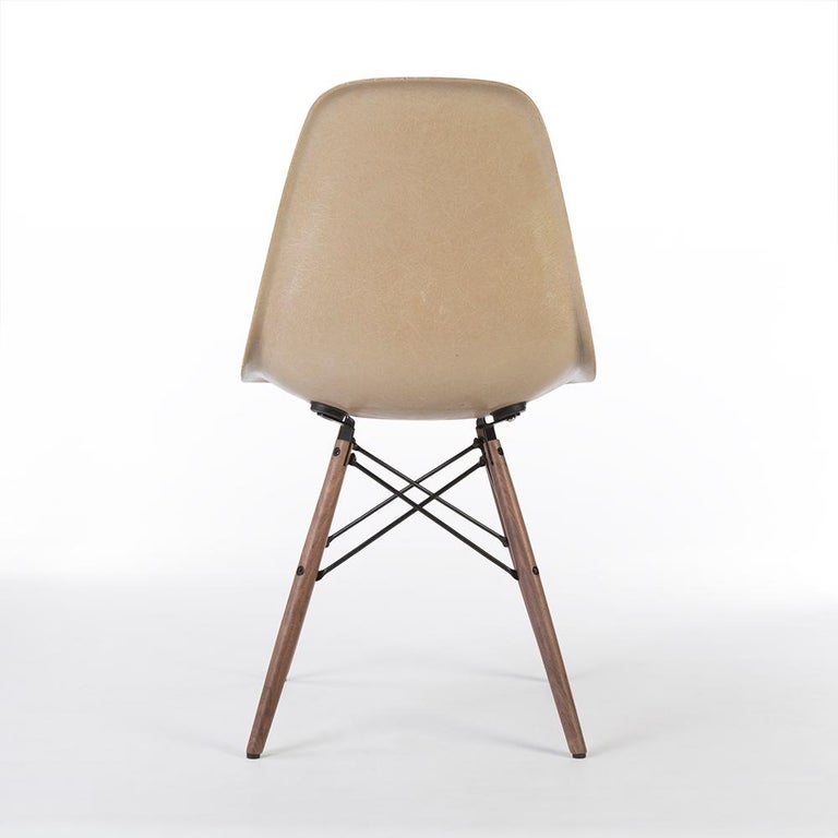 American Pair of '2' Greige Herman Miller Eames DSW Side Shell Chair For Sale