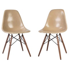 Pair of '2' Greige Herman Miller Eames DSW Side Shell Chair