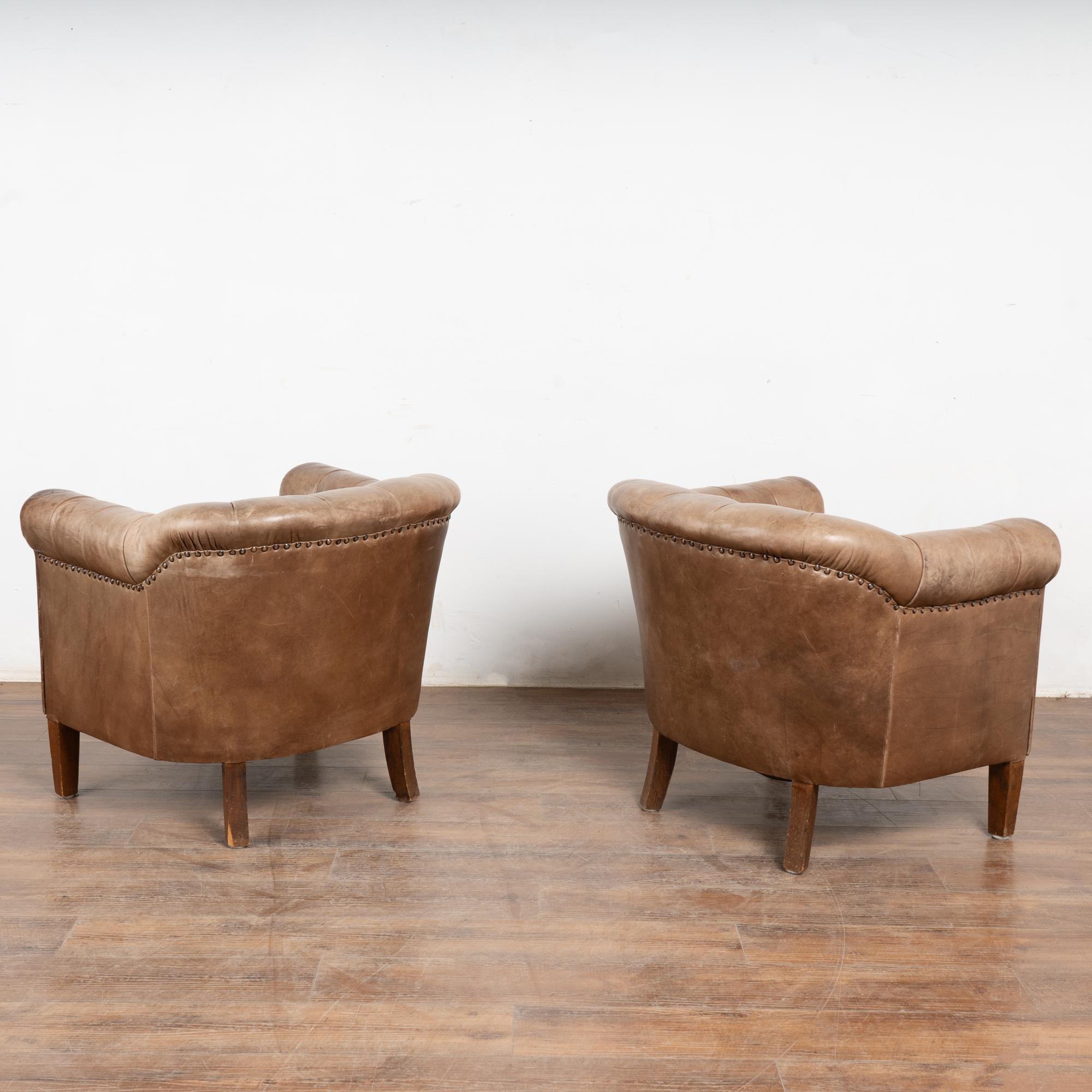 Pair, 20th Century Brown Leather Barrel Back Club Chairs, Sweden 9