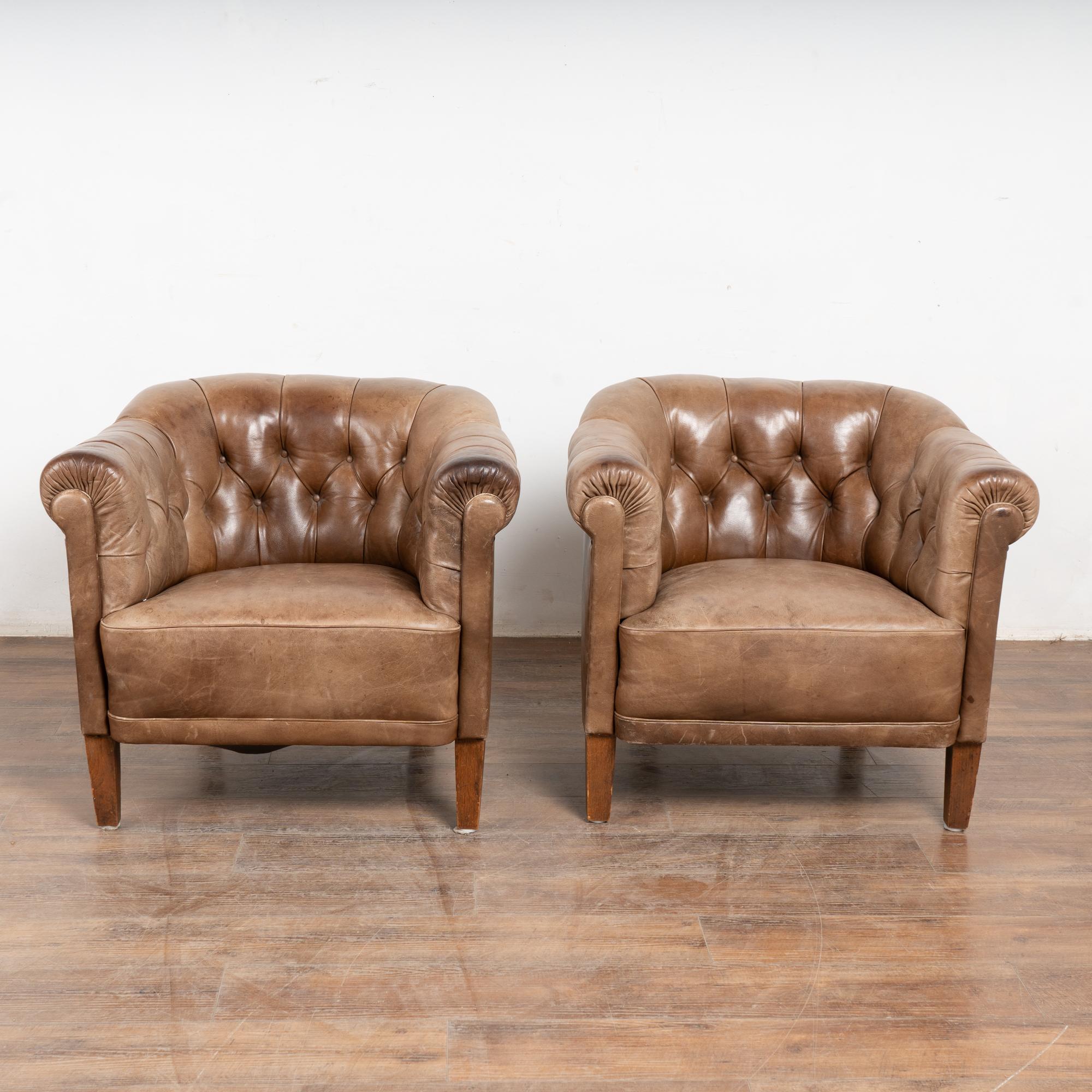 Chesterfield Pair, 20th Century Brown Leather Barrel Back Club Chairs, Sweden