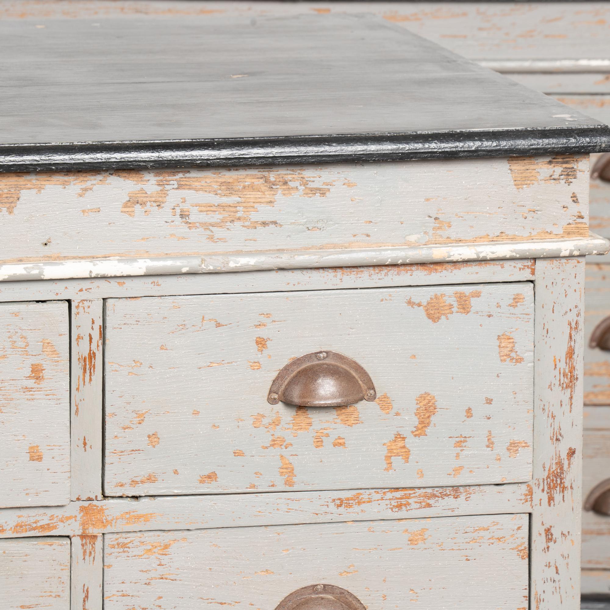 Pair, 20th Century French Gray Painted Apothecary Counters with 15 Drawers each For Sale 3