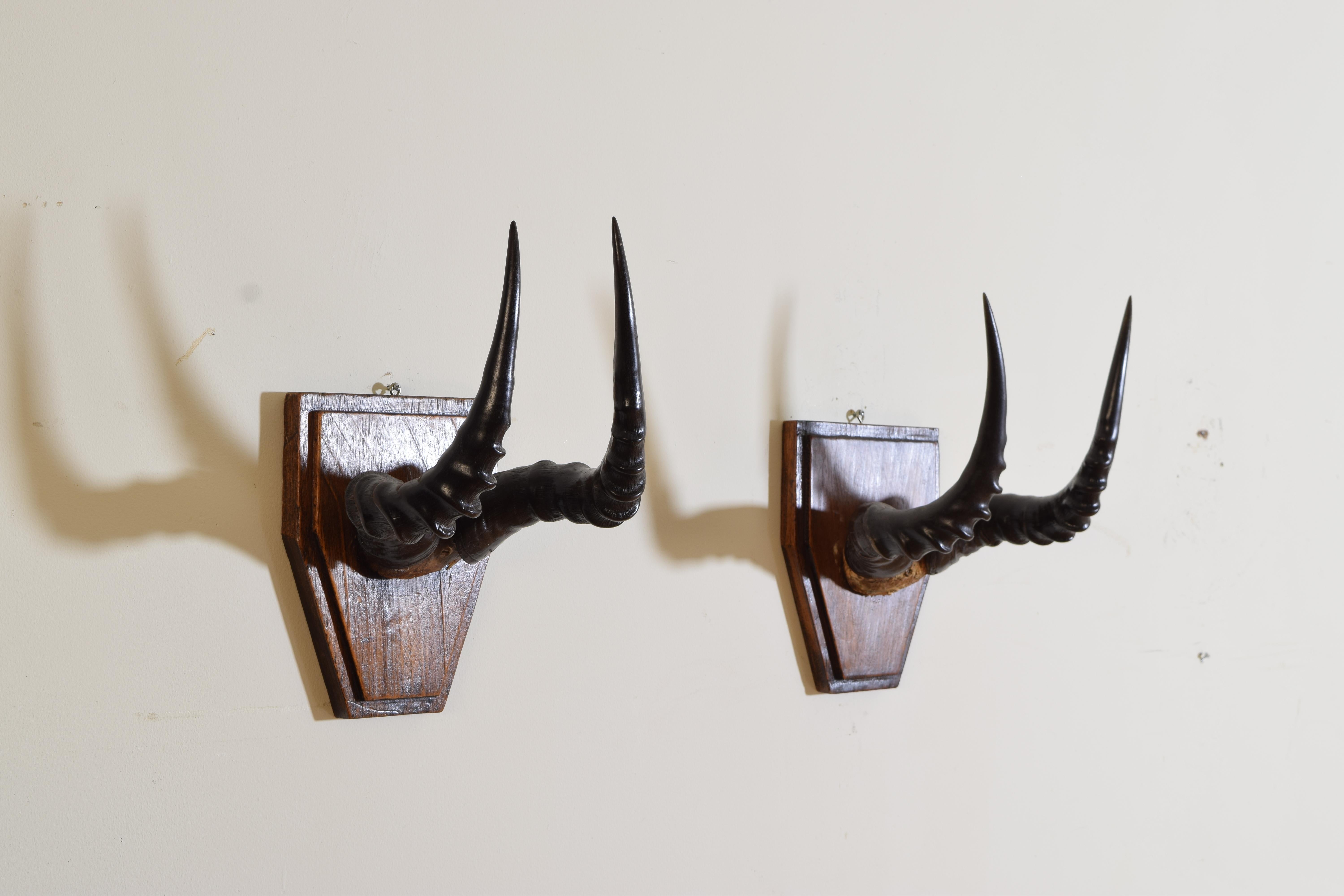 Pair African Topi Horns on Shaped Art Deco Backplates In Good Condition For Sale In Atlanta, GA