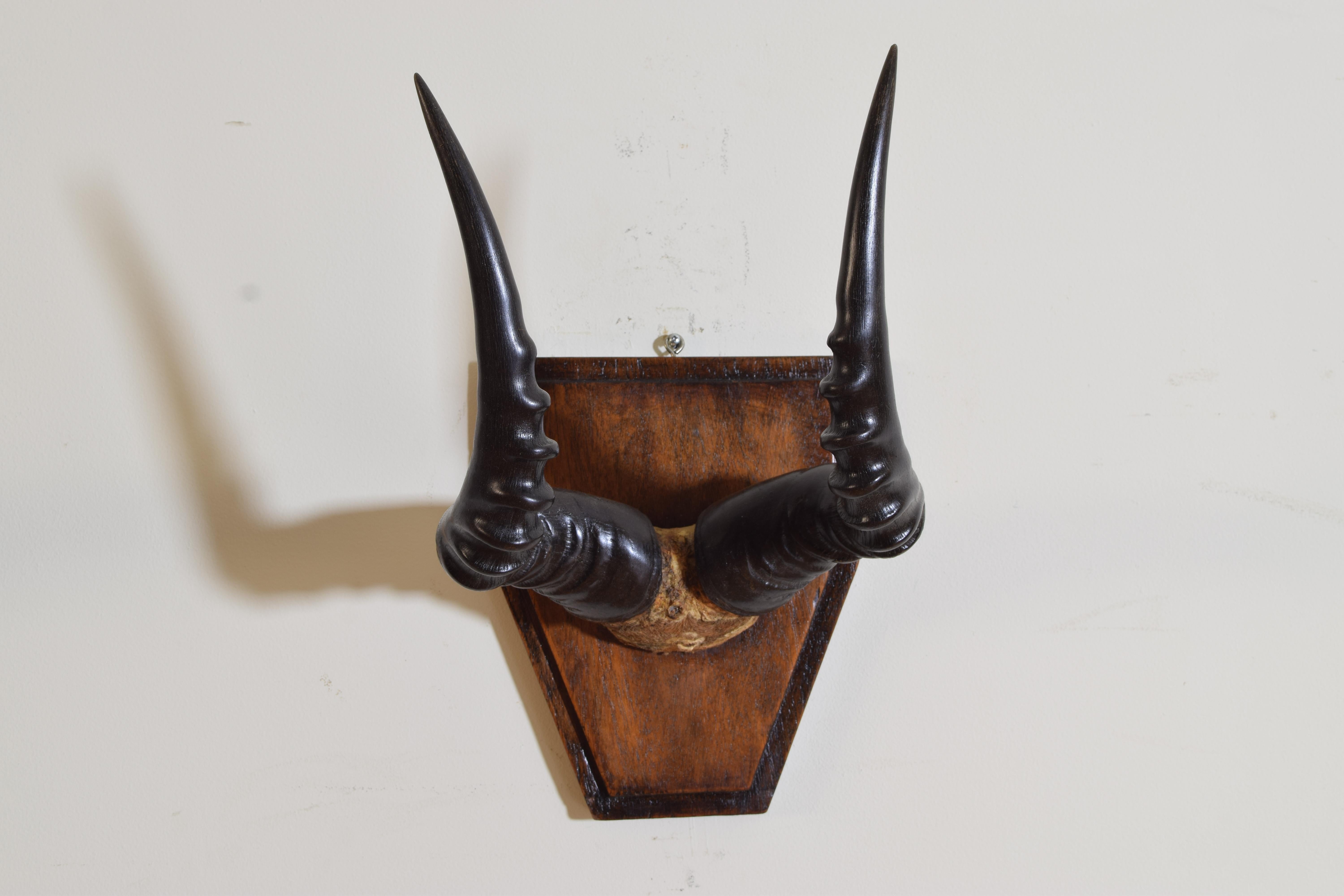 Début du 20ème siècle Paire de cornes de topi africains sur plaques de fond Art Déco façonnées en vente