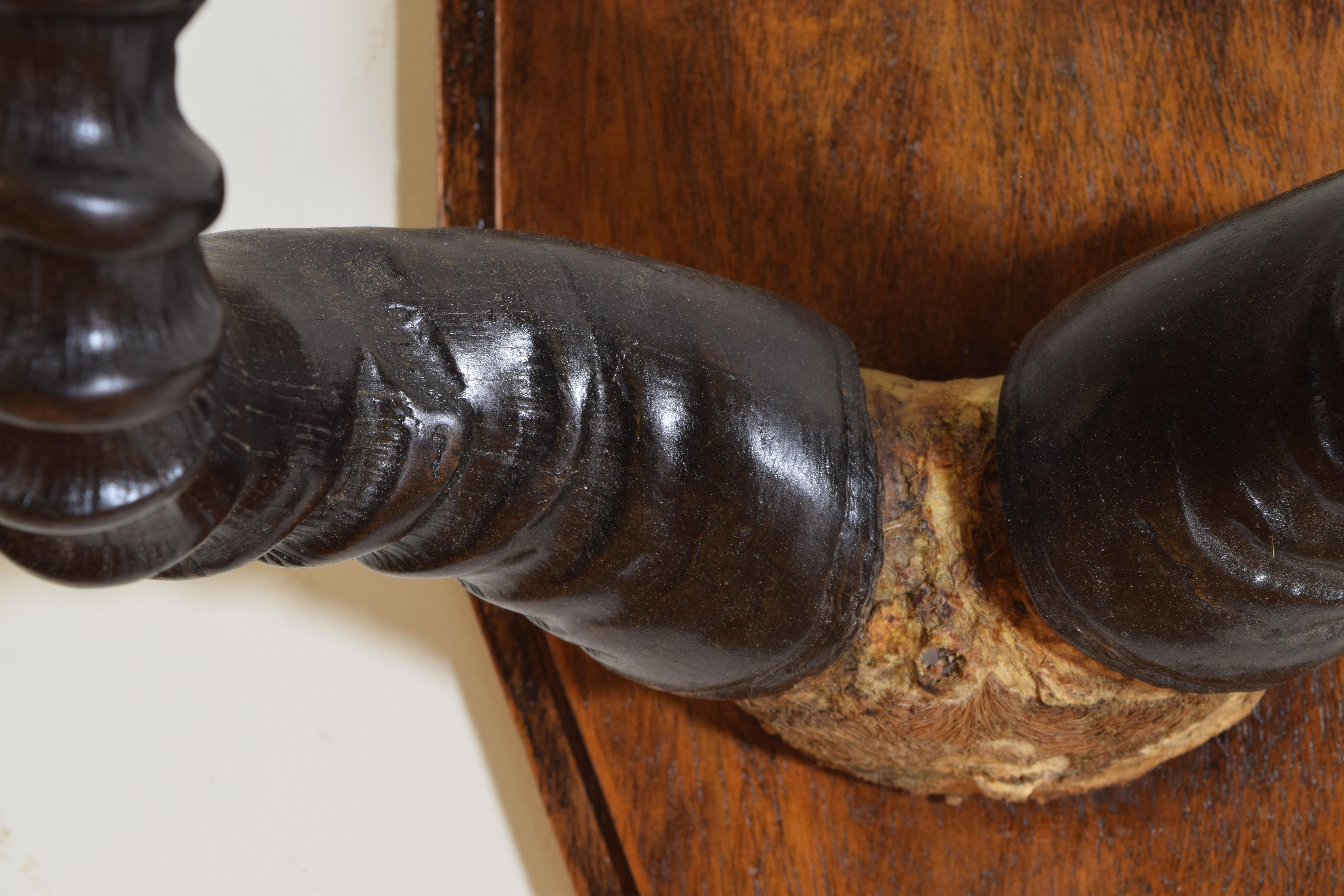 Corno Coppia di corni africani Topi su piastre sagomate in stile Art Deco in vendita