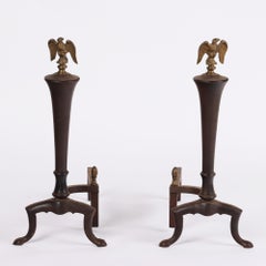 Pair American 20th Century Brass Eagle Head and Cast Iron Andirons