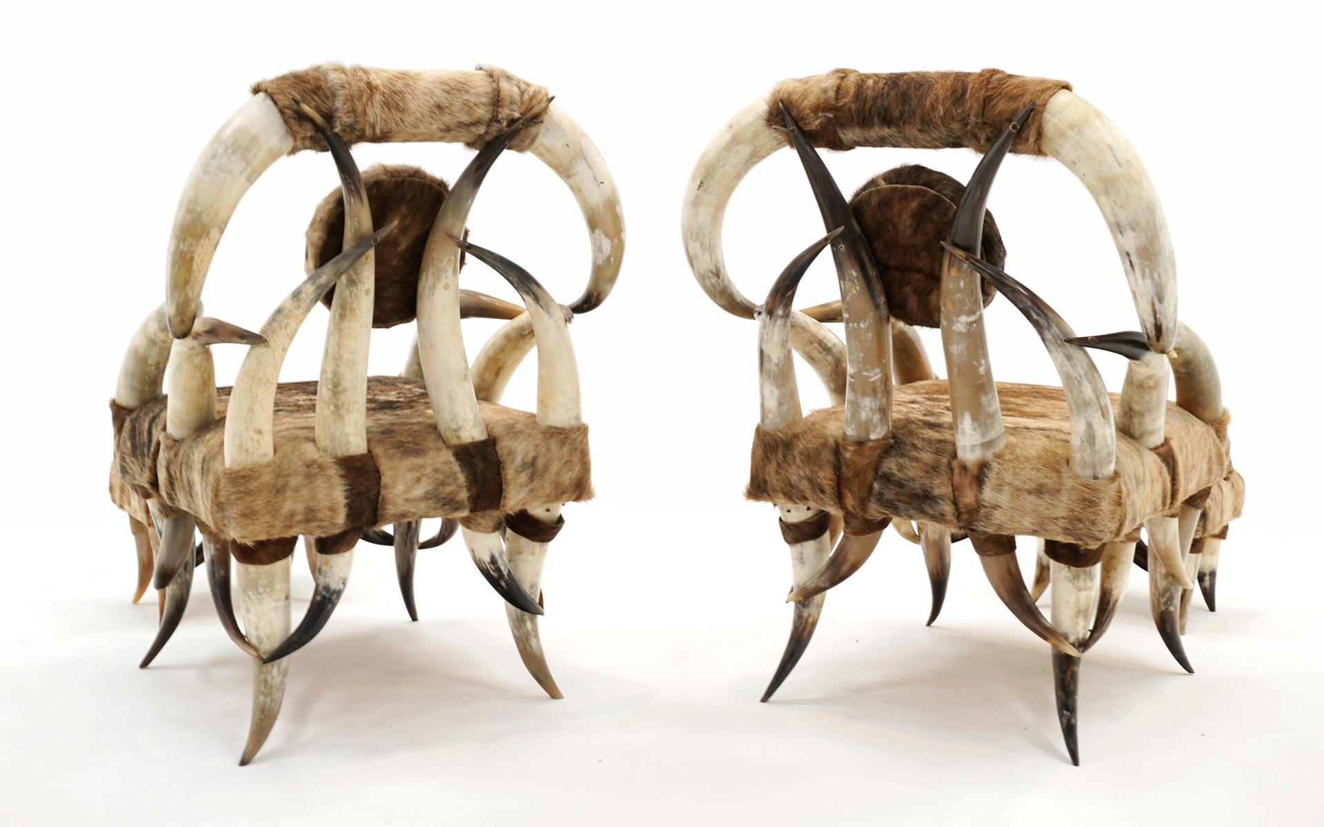 Late 19th Century Pair American Steer Horn Chairs with Ottomans. Brown & Tan Cowhide Upholstery For Sale