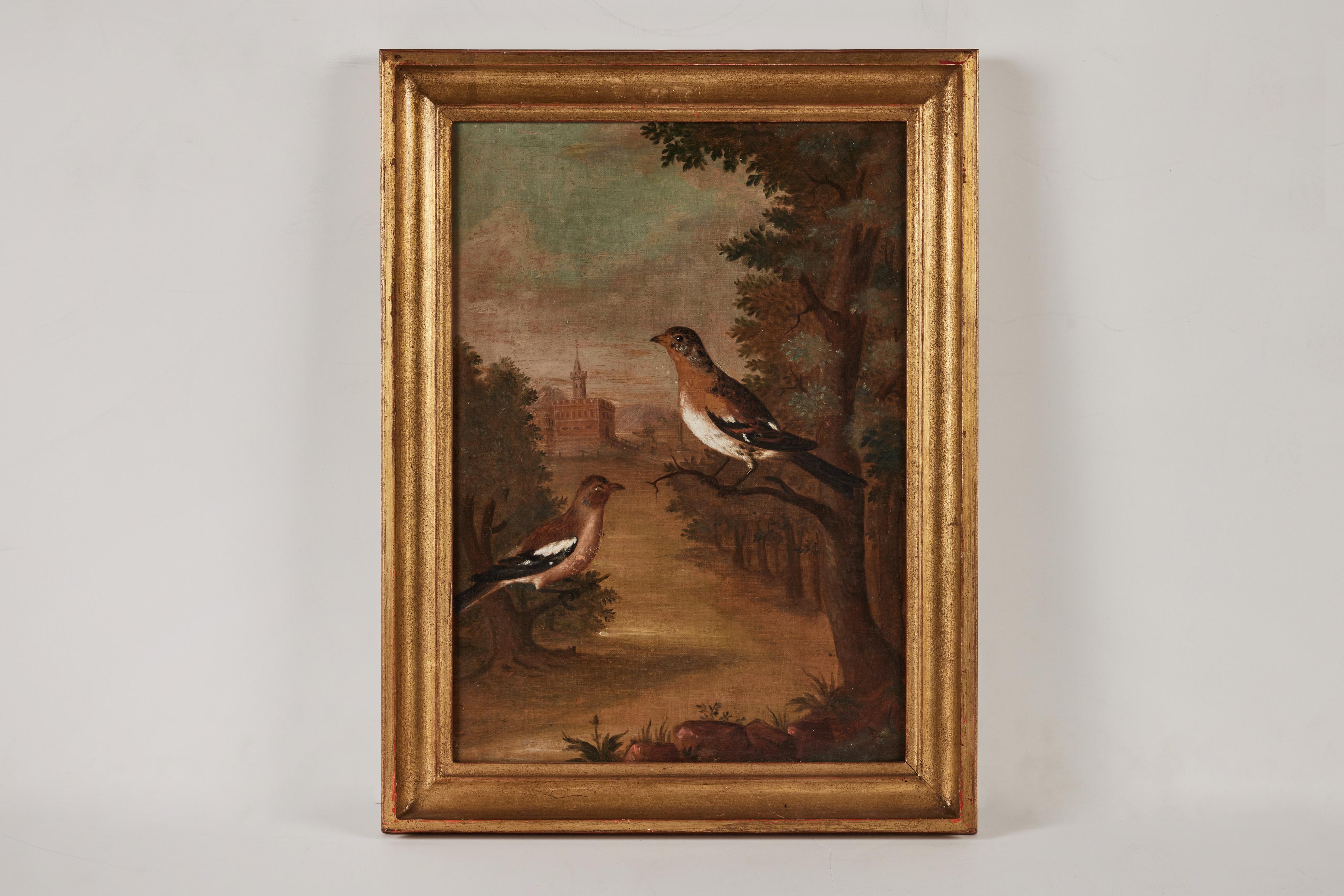 18th Century and Earlier Pair Antique Avian Paintings